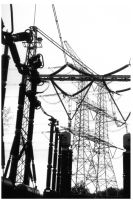 pictures/1991/1991-11-13-trein