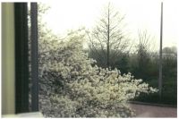 pictures/1998/1998-04-03-begunstigersdag-afvalverbranding